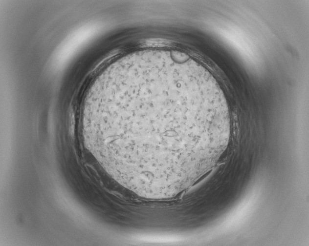 X0000115331151200912141214