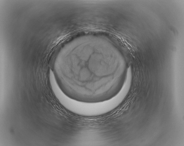 X0000115331157200912141213