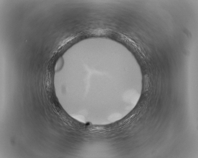 X0000115331158200912141213