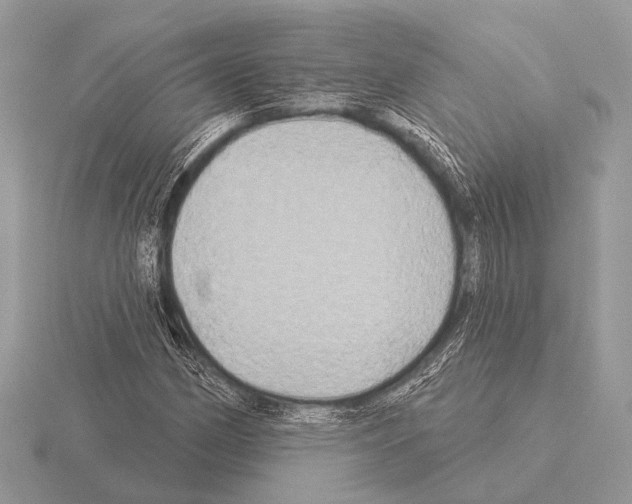 X0000115331162200912141213