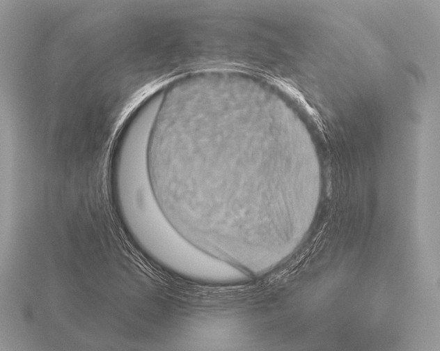 X0000115331167200912141213