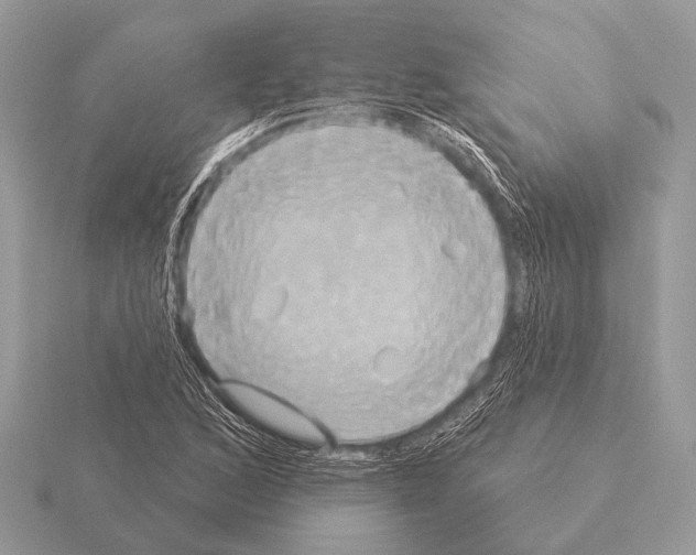 X0000115331168200912141213