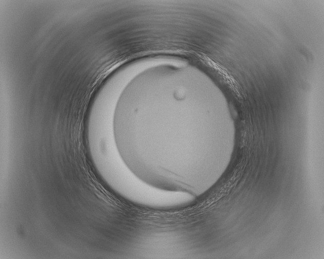 X0000115331169200912141213