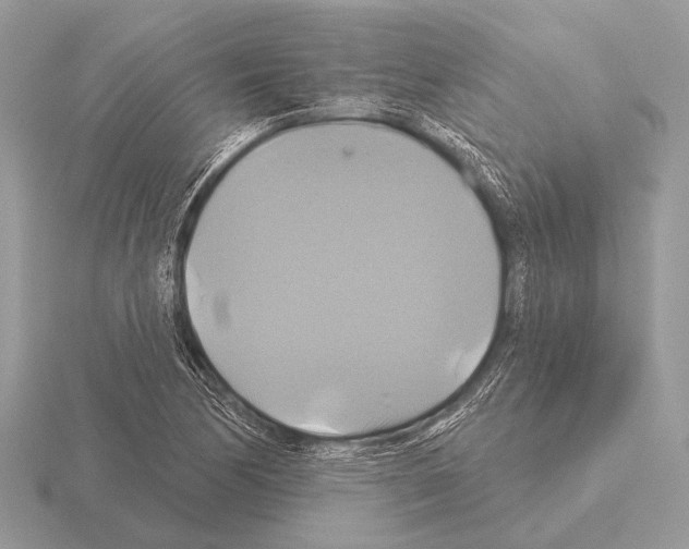 X0000115331170200912141213