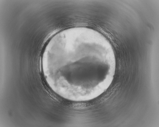 X0000115331171200912141213