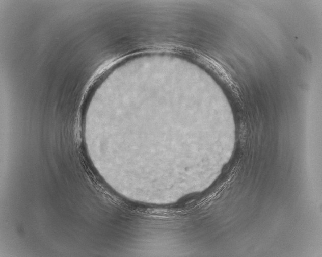 X0000115331172200912141213