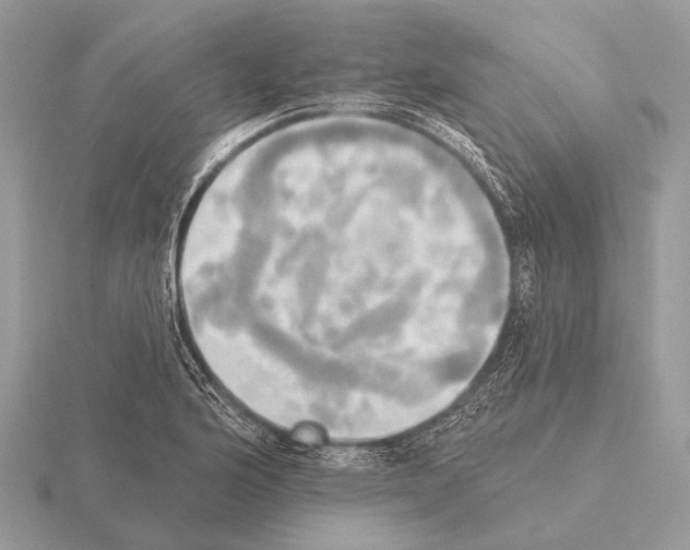 X0000115331176200912141213