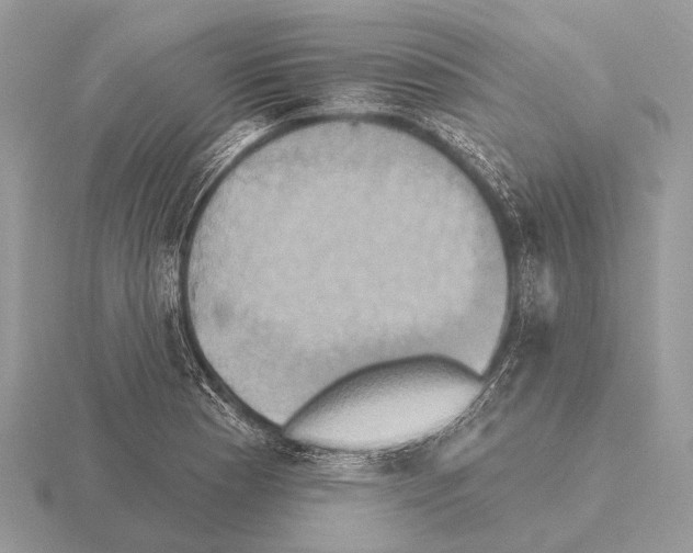 X0000115331177200912141213