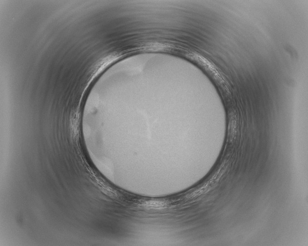 X0000115331178200912141213