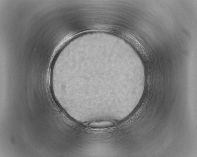 X0000115331180200912141213