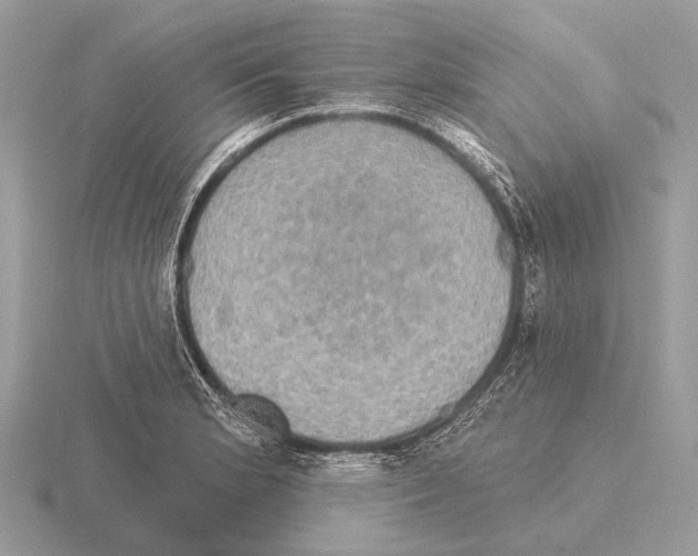 X0000115331181200912141213