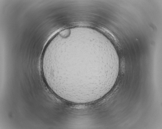 X0000115331182200912141213