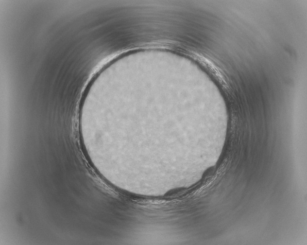 X0000115331184200912141213