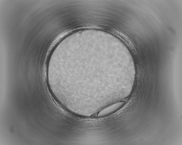 X0000115331188200912141213