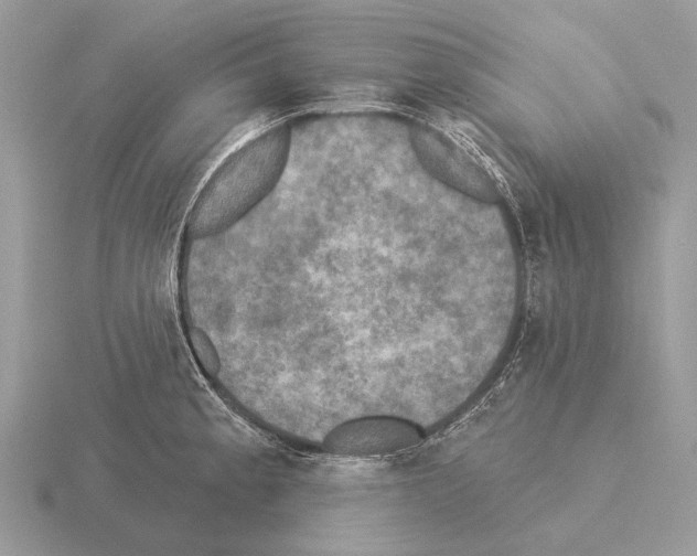 X0000115331189200912141213