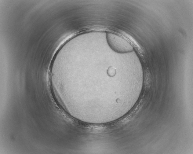 X0000115331190200912141213