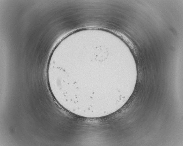 X0000115331191200912141213