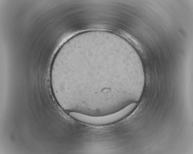 X0000115331192200912141213