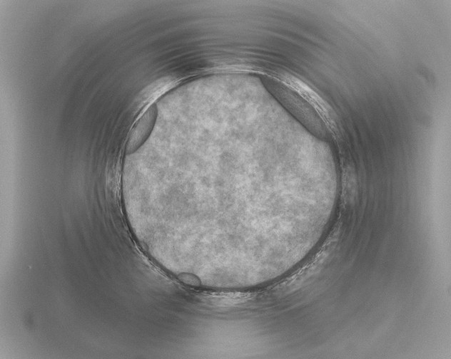 X0000115331193200912141212