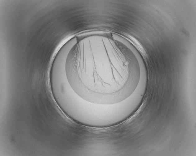 X0000115331196200912141212