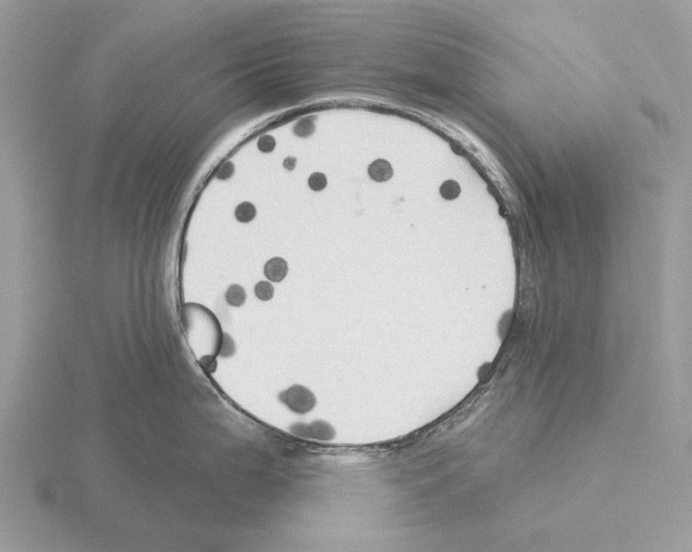 X0000115331199200912141212