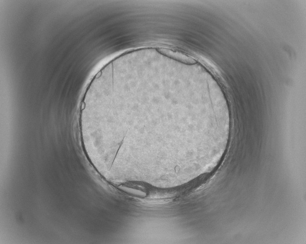 X0000115331200200912141212