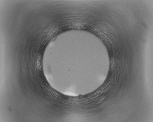 X0000115331202200912141212