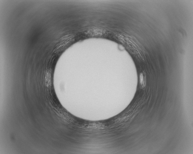 X0000115331203200912141212