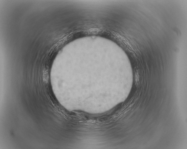 X0000115331204200912141212