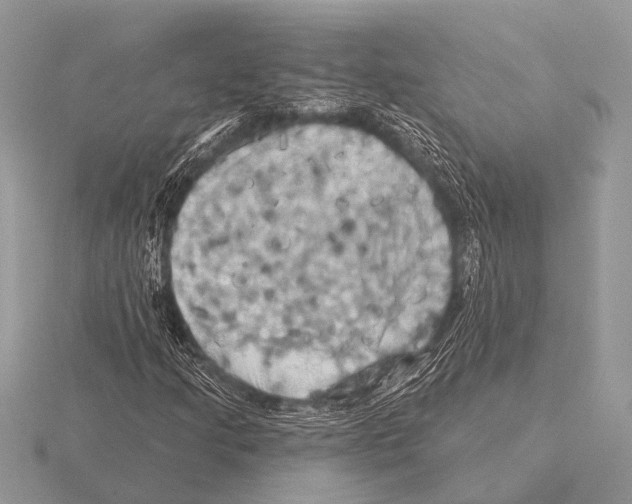 X0000115331205200912141212