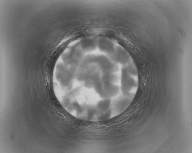 X0000115331206200912141212