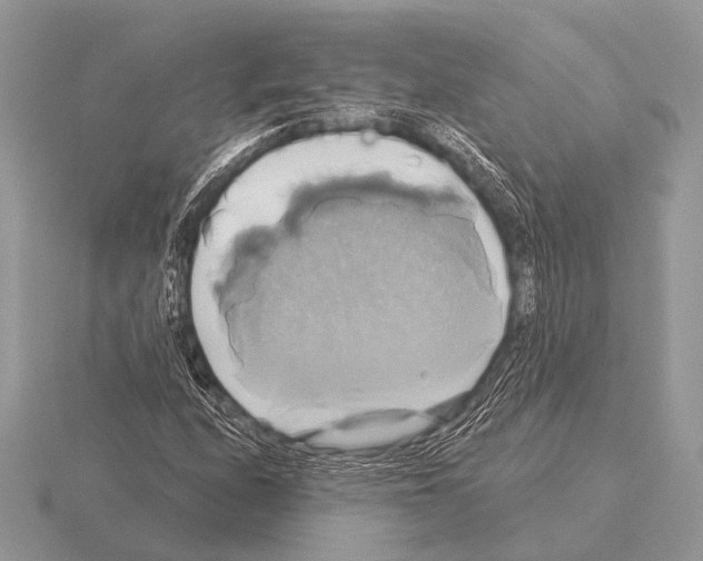 X0000115331208200912141212