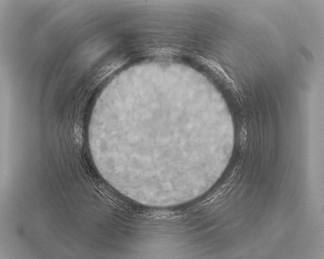 X0000115331209200912141212