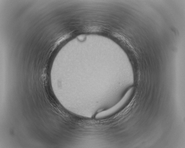 X0000115331210200912141212