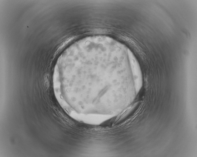 X0000115331212200912141212