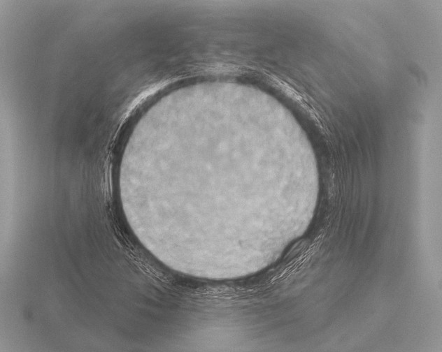 X0000115331214200912141212