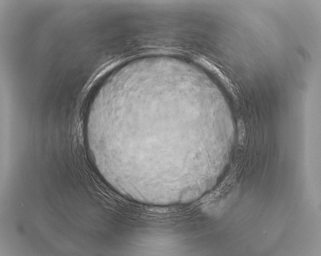 X0000115331215200912141212