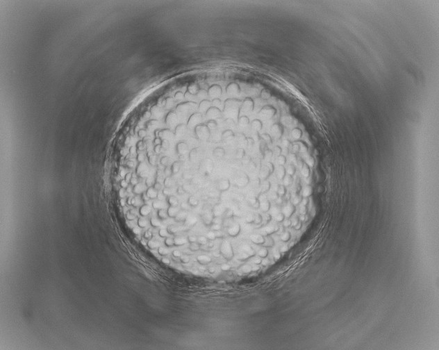 X0000115331216200912141212