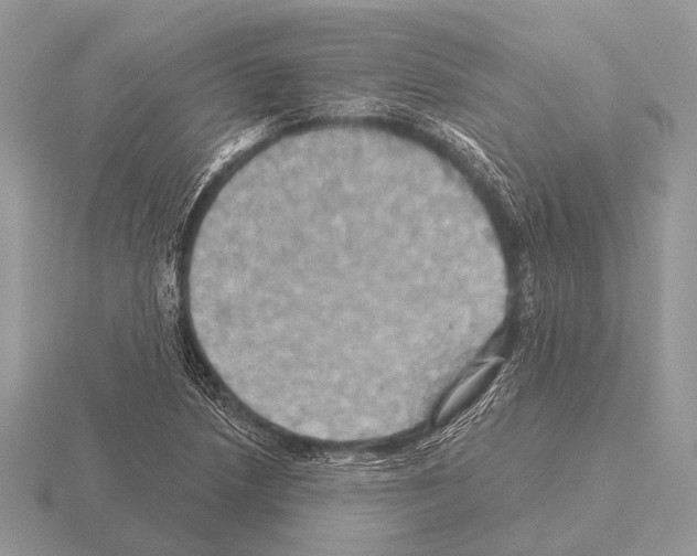 X0000115331218200912141212