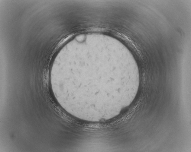 X0000115331220200912141212