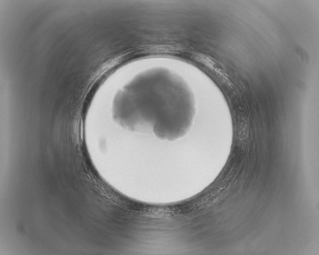 X0000115331221200912141212