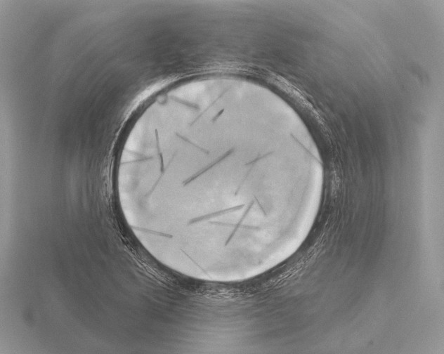 X0000115331222200912141212