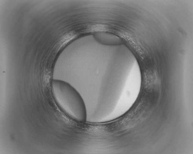 X0000115331225200912141212