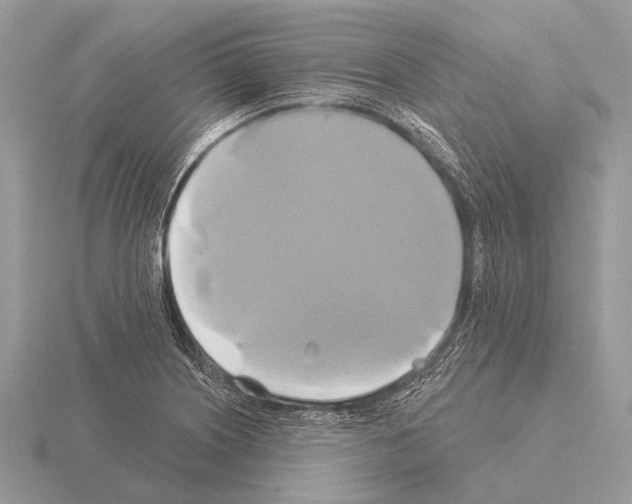 X0000115331226200912141212