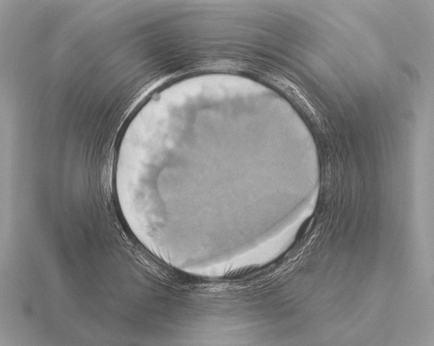 X0000115331228200912141212