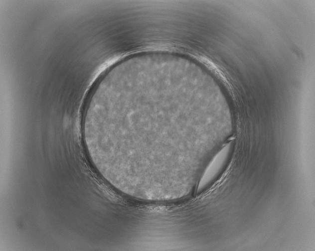 X0000115331230200912141212