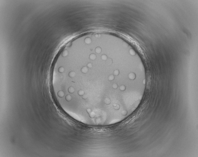 X0000115331231200912141212