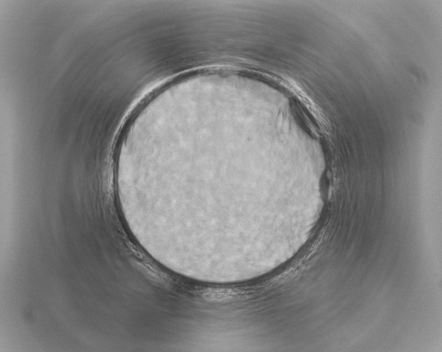 X0000115331232200912141212