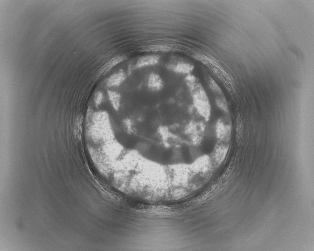 X0000115331233200912141212