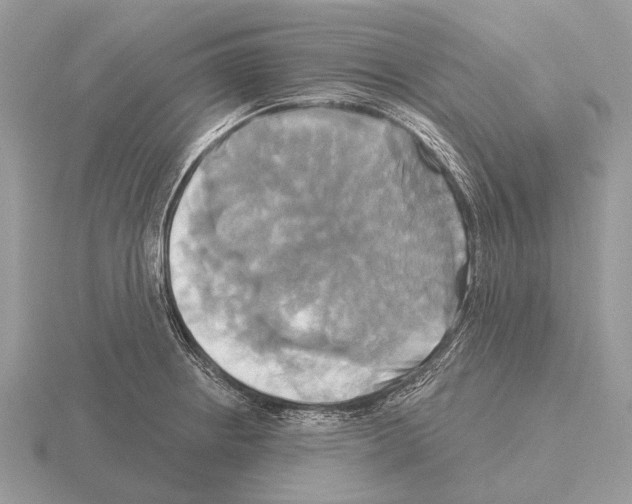 X0000115331234200912141212